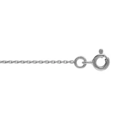 Chaîne En Argent Maille Forçat Largeur 1mm Et Longueur 40cm