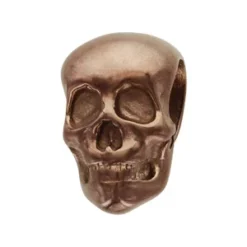 Charms Thabora Grand Modèle Pour Homme En Acier Et PVD Marron Tête De Mort